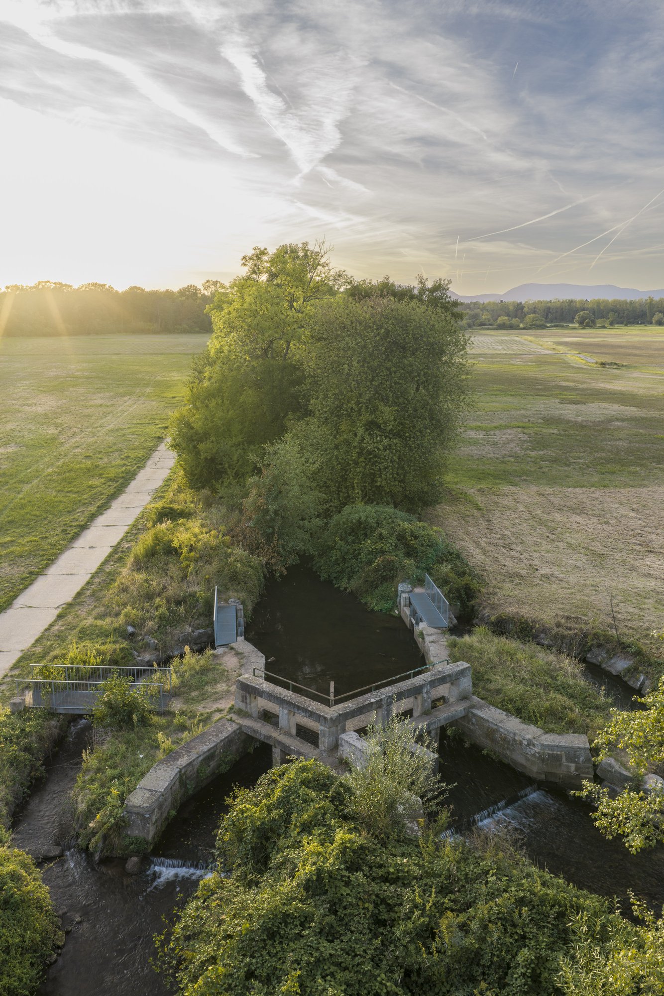 Teilungswehr in den Queichwiesen, Ottersheim — Blick von oben auf die Wehranlage, an der sich die Queich in zwei Läufe teilt
