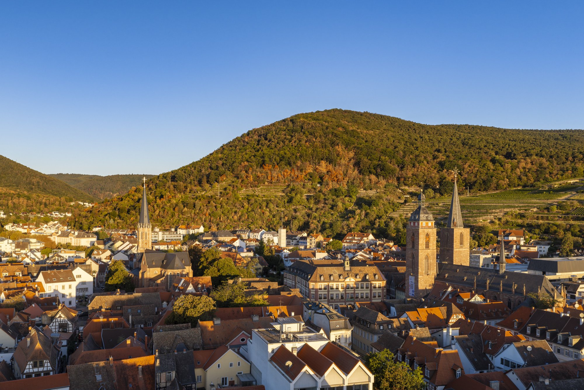 Neustadt an der Weinstraße — Luftbild über die Altstadt zum bewaldeten Anstieg der Haardt, rechts die Weinberge am Hang