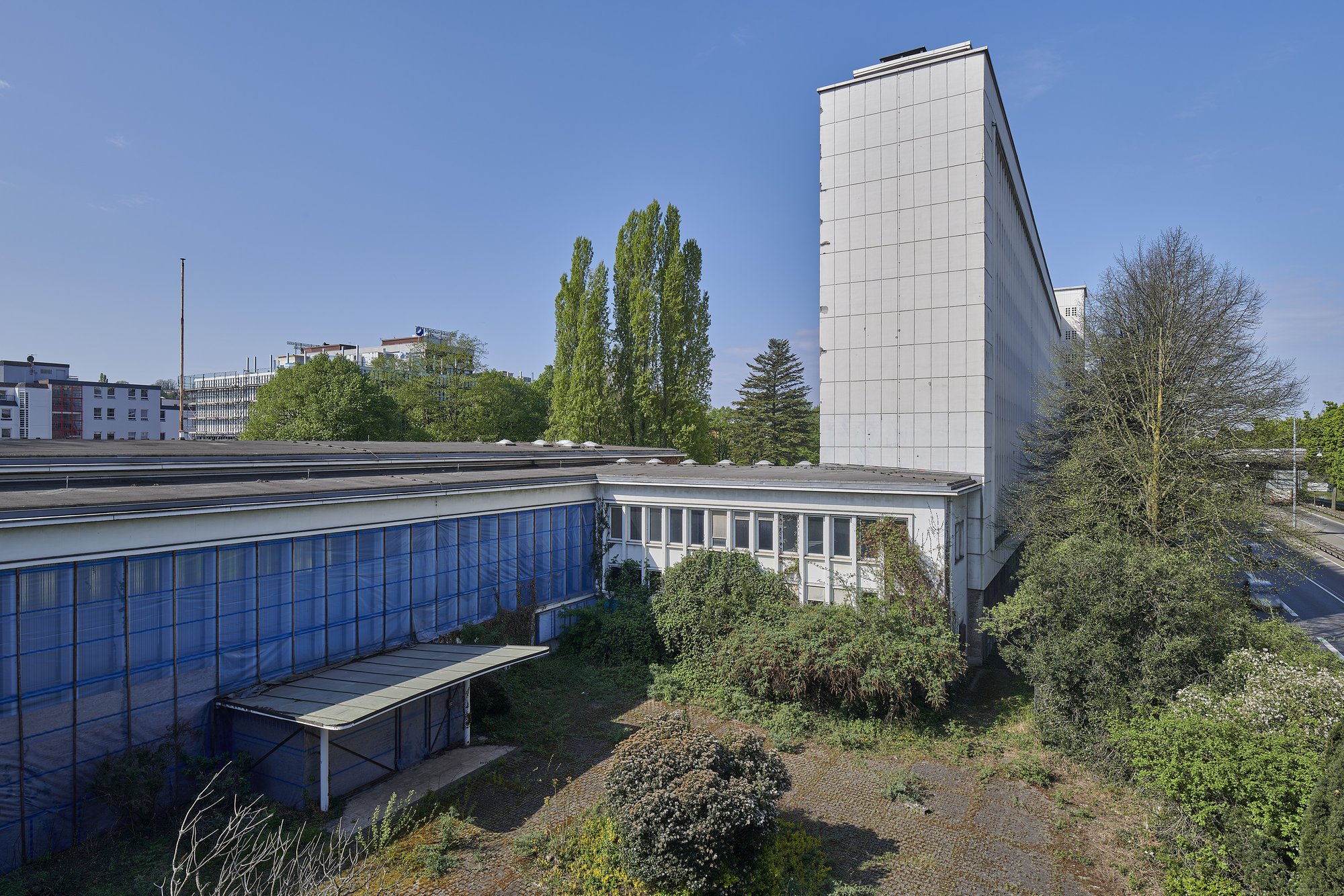 Architekturfotografie ehemalige Französische Botschaft, Saarbrücken — Blick von oben in den zugewachsenen Innenhof, die Fassade in blauer Schutzfolie